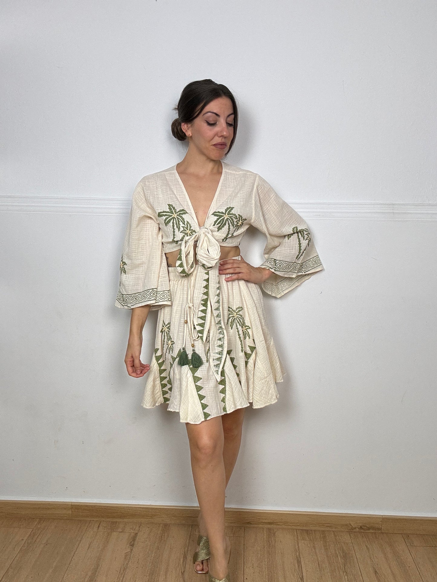 CONJUNTO PALMERA